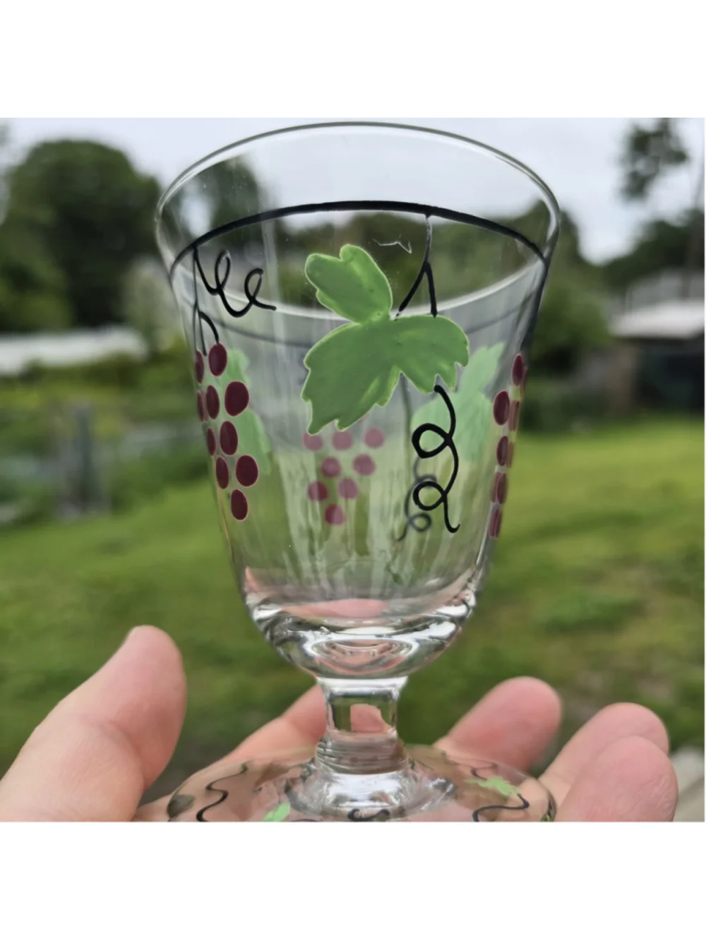 MCM Mid Century Hand Painted Franciscan Ware Wine Glasses Goblets 6 pc Set